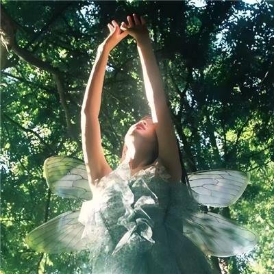 他和她的圣诞节